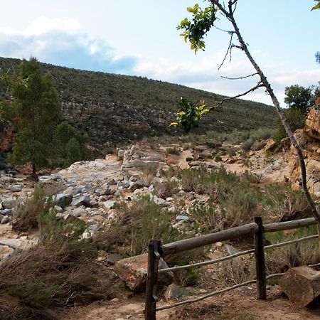 Desert Wind Private Guest And Game Farm Montagu Buitenkant foto