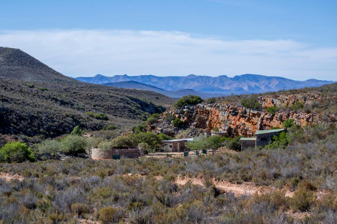 Desert Wind Private Guest And Game Farm Montagu Buitenkant foto